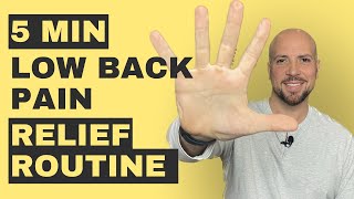 Quick Low Back Pain Relief Stretch and Strength Exercise 5 Minute Daily Routine | Dr. Matthew Posa