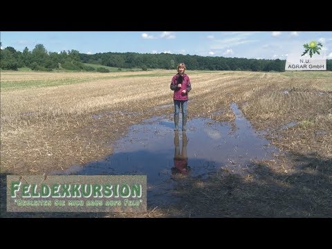 75. Feldexkursion: Regen während Ernte - NU Agrar, 02.08.2017