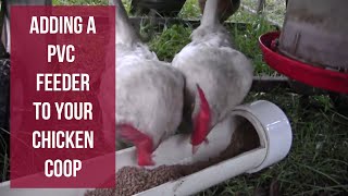 Chicken Tractor Upgrades | Adding A PVC Feeder