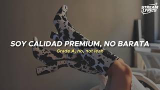 Doja Cat - Mooo! [video lyrics + letra]