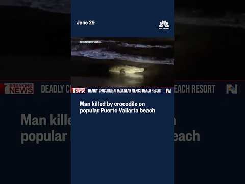 Man killed by crocodile on popular Puerto Vallarta beach