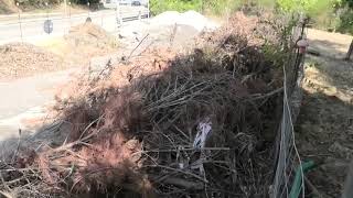 bonificata-area-verde-sulla-panoramica-ad-ariano-ma-resta-lo-scempio-pali