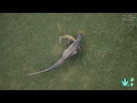 Utah Appetizer, Rex Entrée - Allo vs Rex - 1v1 - The Isle Gameplay