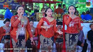 Download lagu Live - TAYUB GLERRR SURYO LARAS TRENGGALEK NEWS 2026 PT. YAPA SANDY MEDIA KONDANGNYA TAYUB INDONESIA mp3