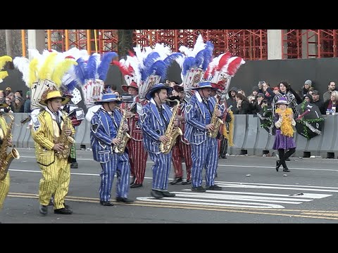 Jersey String Band 2023
