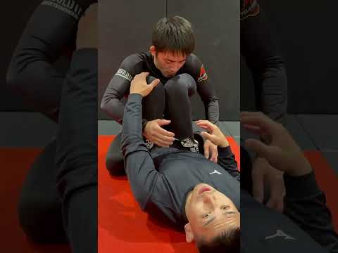 クローズドガードからKガード #グラップリング #柔術 #mma #mmafighter #bjj #格闘技 #nogi #グラップリング