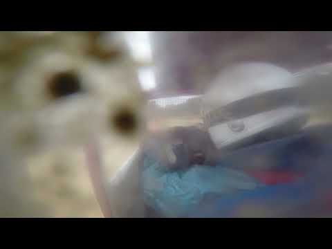 download lagu mp3 mp4 2cv Cross A Vendre, download lagu 2cv Cross A Vendre gratis, unduh video klip 2cv Cross A Vendre