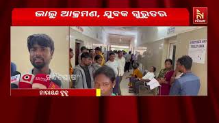 ଆନନ୍ଦପୁର ଠାକୁରମୁଣ୍ଡା ବ୍ଲକ ପୁରୁଣାପାଣି ଗାଁରେ ଭାଲୁ ଆତ?