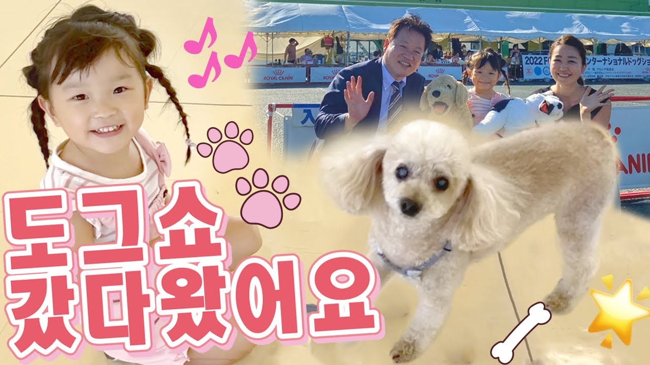노노카짱♪도그쇼에서 놀고 또 ”강아지 순경 아저씨” 노래도 불렀어요♪