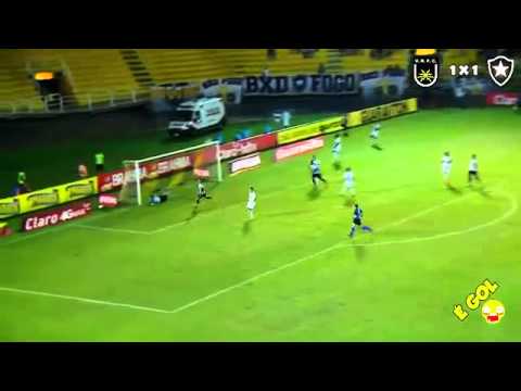 Gols de Botafogo 2 X 2 Volta Redonda