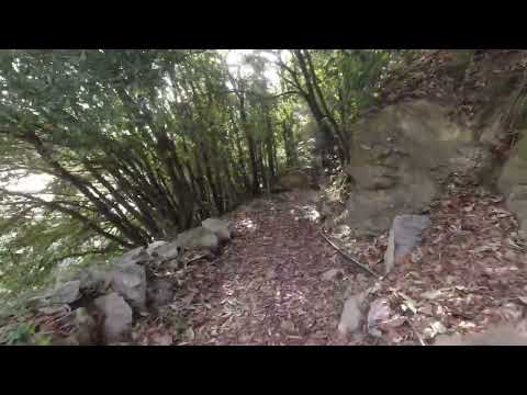 Acquedotto storico di Genova: il tratto secentesco dal ponte canale sul Geirato a via Carpi