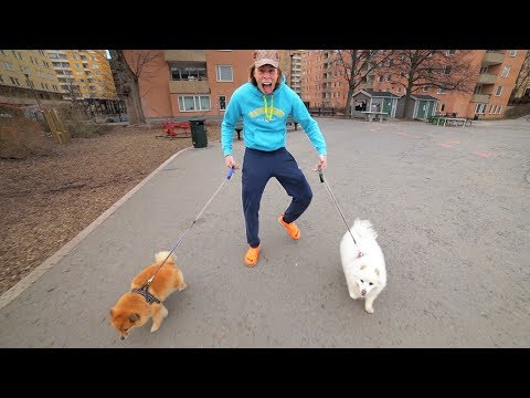 download lagu mp3 mp4 Mehmet, download lagu Mehmet gratis, unduh video klip Mehmet