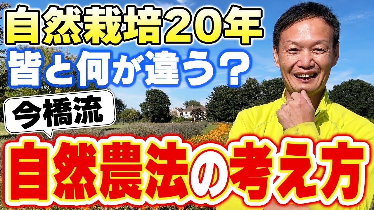 【自然栽培319】皆と何が違う?今橋流自然農法考え方。