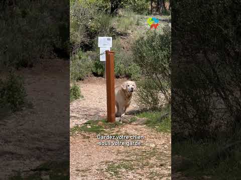 🌿 Les bons conseils pour préserver nos espaces naturels