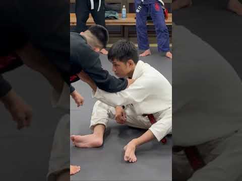 シッティングガードに対するパス #mma #グラップリング #格闘技 #柔術
