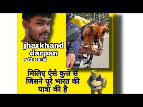 most expensive dog/most famous dog 2022/