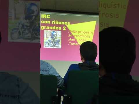 Analisi di uno stomaco lyambliya e A che pesce tanto meno helminths