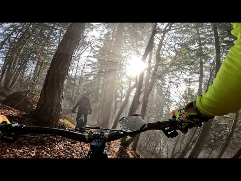 MALGA PRIU, Ugovizza, UD