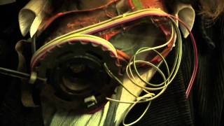 Goldheart Assembly  - Last Decade