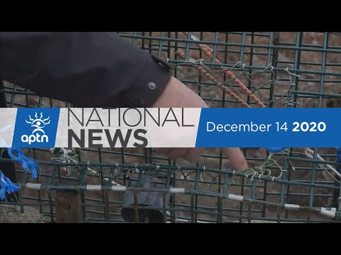 APTN National News December 14, 2020 – Bushby found guilty, COVID-19 vaccine arrives
