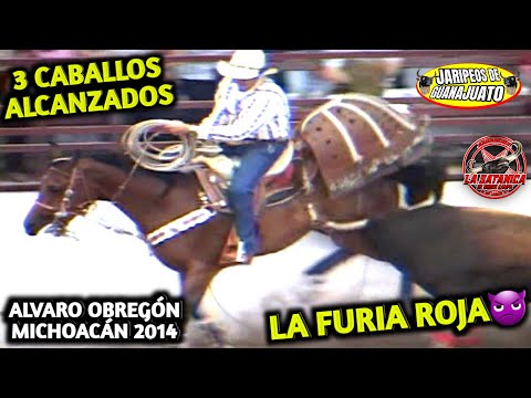¡¡LA FURIA ROJA ACABO CON LA CUADRILLA, 3 CABALLOS ALCANZADOS EN UNA SOLA JUGADA!!Jugadas de Antaño