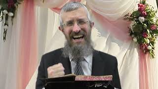 מסכת סוטה דף מז  - 8 דקות של לומדות ועמקות בדרך הלימוד הישיבתית [sota 47]