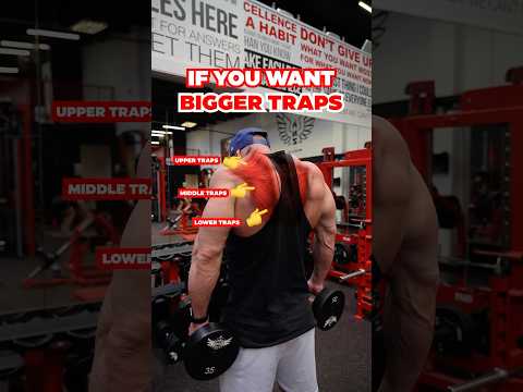 Trap workout for your upper, middle & lower traps!