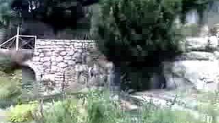 preview picture of video 'le jardin aromatique de la garde adhémar'