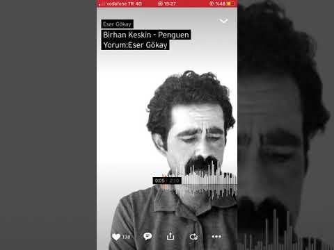 Birhan Keskin Penguen Yorum:Eser Gökay