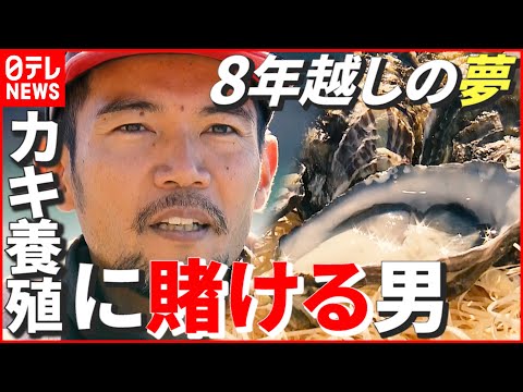 貝類養殖 - 定義