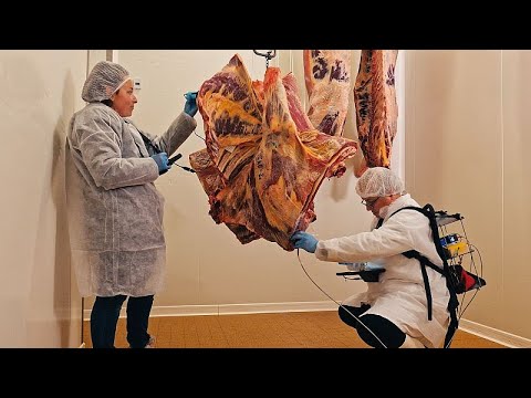 The Food Detectives: Betrugsbekämpfung vom Bauernhof bis zum Schlachthof