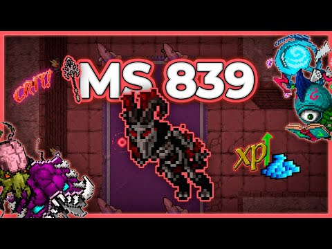 MS 839 Hunt x4 Secret Library Energy Section 21.2kk/h (225%) - Tibia Hunt #tibia #tibiahunt #hunts