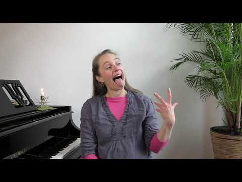 54. STIMMSINN - Möwe