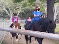 Pony Ride