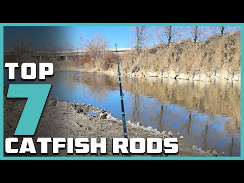 Mastering Catfish Battles: Discover the Best 7 Rods for Success