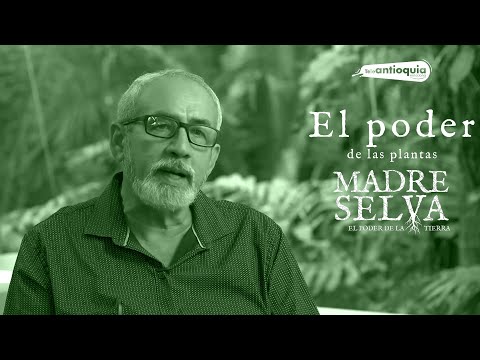 Websodio 3 Madre Selva | El Poder de las Plantas | Teleantioquia