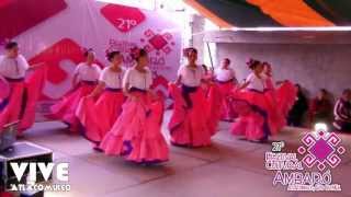 preview picture of video 'Ambaró 2013 - Ballet Folklórico Atlacomulco'