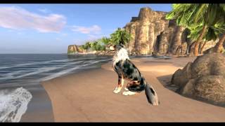 SL Aviation Magazine Issue 43   The Adventures of Quinn