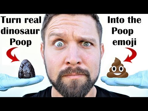 I Carve Petrified Dinosaur Poop (from What's Inside) Into The Poop Emoji (Dukey inception) Video