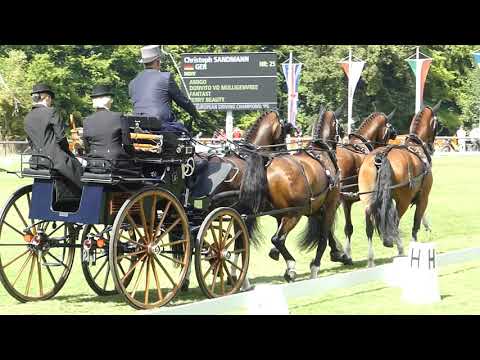 Sandmann, Christoph, GER INDIV , FEI EU CH H4, CHI Donaueschingen, Dressage 16 08 2019