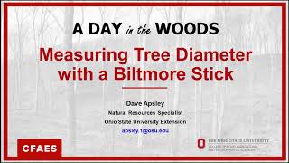 Measuring tree diameter with a Biltmore Stick