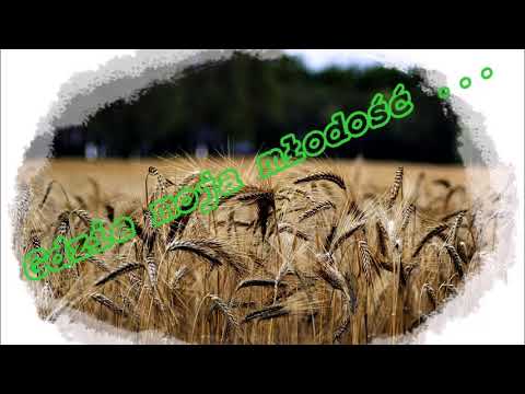 Gdzie moja młodość   -   Mix przebojów.