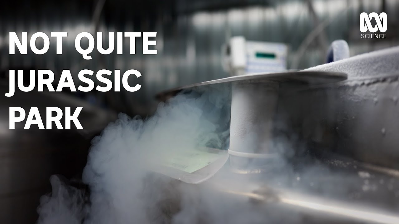 Should we bring back extinct animals? | Catalyst