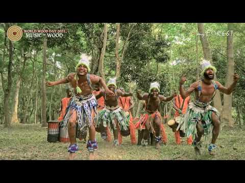 WWD 2021 Music of Wood - Aaninka - myForest part I