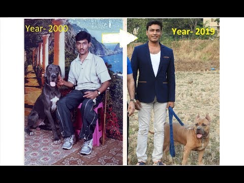 20 Years On Animals Life