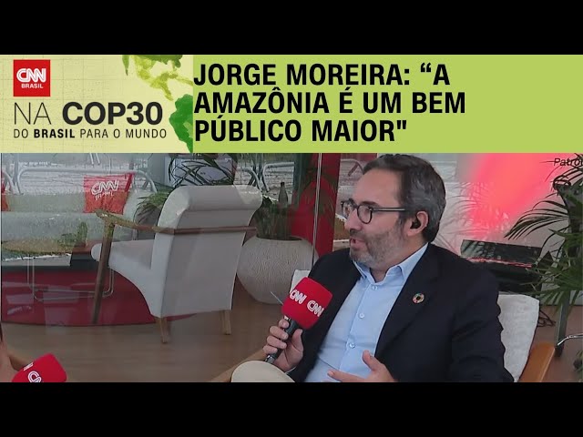 Fundo das florestas deve servir de base para mais ambição, diz especialista | AGORA CNN