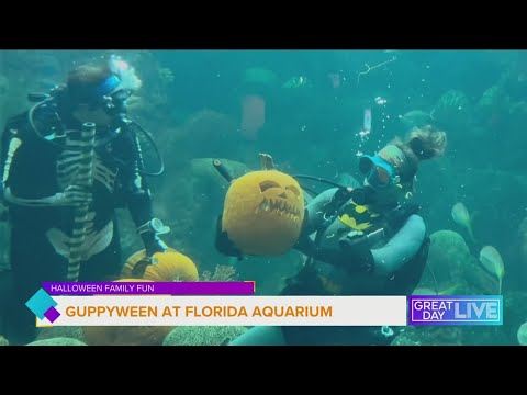 Guppyween is back at Florida Aquarium - YouTube