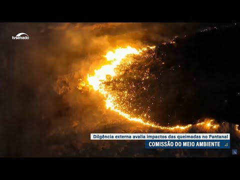 Senadores cobram investimentos para combate a queimadas no Pantanal