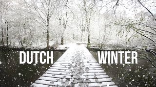 Snowy ❄️ walk in The NETHERLANDS 🌨De Eendenkooi park @ Maarsen