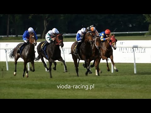 Gon. VI - 28.05.2023 - Petrol Express (Zoffany - Novalina)